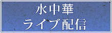 水中華ライブ配信